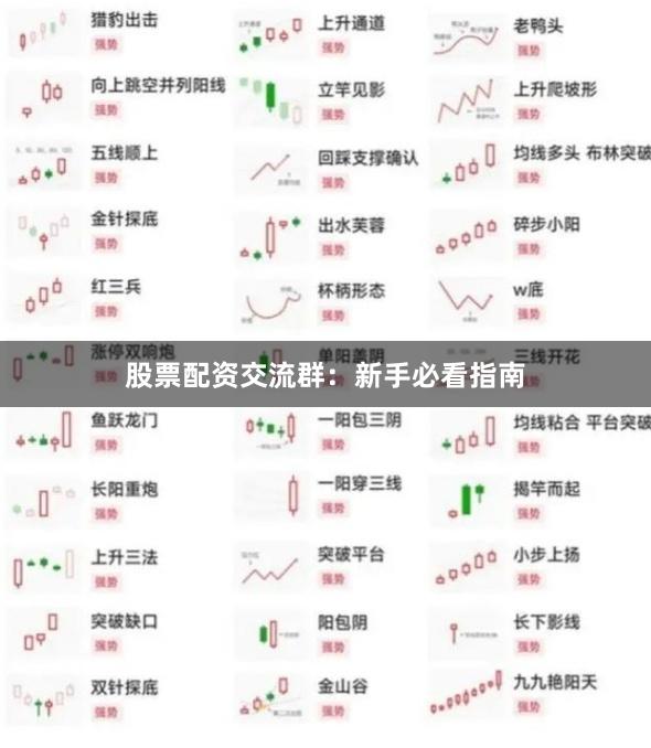 股票配资交流群：新手必看指南